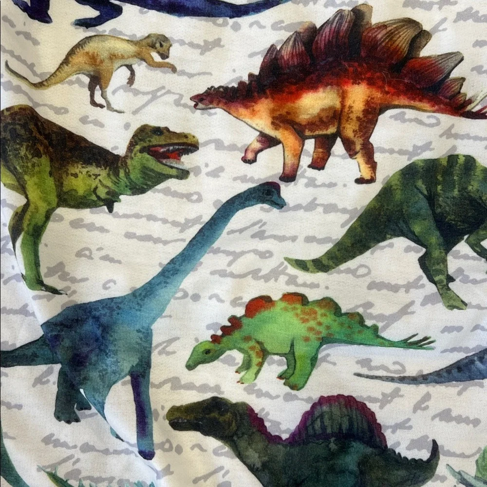 Lola + the boys dinosaur print short sleeve sweatshirt unisex 10 years crewneck